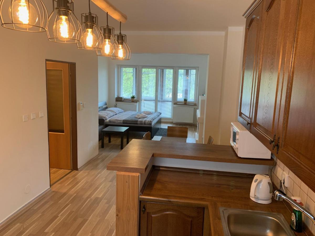 Špindlerŭv Mlýn Apartments Monika מראה חיצוני תמונה